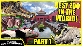 THE MOST INCREDIBLE ZOO IN THE WORLD Pairi Daiza PART 1 with KINOVAReptiles [upl. by Chun]