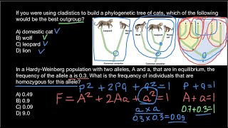 What is the Clade and Outgroup [upl. by Naujik]