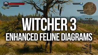 Witcher 3  ALL Enhanced Feline Diagram Locations Upgrade Armour and Weapons [upl. by Yevad]