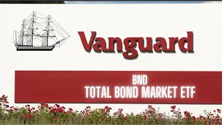 Should you invest your money into Vanguard Total Bond Market ETF in 2023 All you need to know [upl. by Ahsak703]