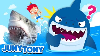 ¡Tiburones en Acción  Datos Curiosos sobre Tiburones  Canciones Infantiles  JunyTony en español [upl. by Catherin372]