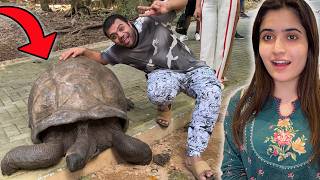 Giant Turtle Mil Gaya 😱  Indian Brother Ne Lift De Di 😍 [upl. by Roobbie]