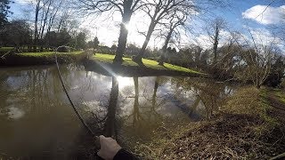 Stick Float Fishing The River Lark Trotting for Chub amp Roach [upl. by Auberon]