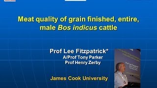 Meat quality of grain finished entire male Bos indicus cattle [upl. by Lilla205]