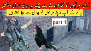 How To Build A Chicken Coop l Aseel Cage Making l Aseel Cage l Aseel khody Kysy bnaian [upl. by Stultz]