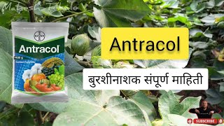 Antracol Fungicide Bayer  Antracol बुरशीनाशक संपूर्ण माहिती  वापर डोस उपयोग आणि फायदे agriculture [upl. by Oilasor]