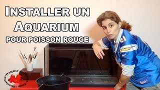 Installer un aquarium à poisson rouge [upl. by Magavern12]