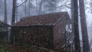 Hiding in an Abandoned Log Cabin From Extreme Rain And Storm [upl. by Suivatra]