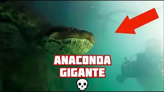 10 Serpientes Gigantes Captadas en Video [upl. by Helm]