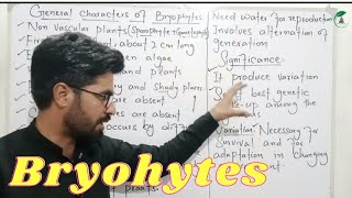 General characteristics of bryophytes  Class 11 Biology [upl. by Annovoj312]