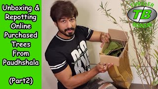 Unboxing amp Repotting online purchased trees from Paudhshalacom  Part 2 [upl. by Loria]