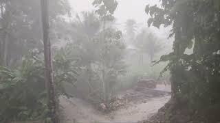 Heavy Rain and Lightning on a Beautiful Afternoon  Terrifying Thunderstorms in Rural Indonesia [upl. by Esinad]