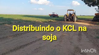 KCL na soja [upl. by Ahen]