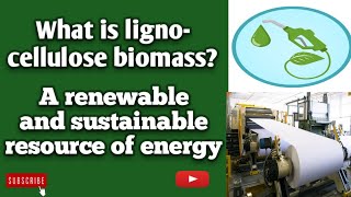 What is lignocellulose biomassUses of lignocellulosesustainableenergy biofuels [upl. by Ddet553]