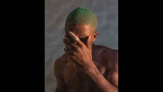 Seigfried Frank Ocean Vocals Acapella [upl. by Sprage]