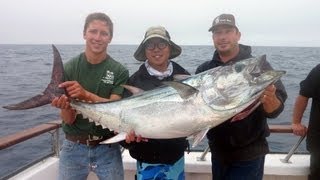 Pacific Dawn Sportfishing  2 Day Aug 1517 2013  Huge Pacific Bluefin Tuna [upl. by Leirum]