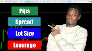 Understanding Pips Spread Lot Size and Leverage in Forex Trading Forex Beginners Guide [upl. by Zsa Zsa476]