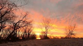 SANDHILL CRANE CALLS AND SUNRISE AT MAGEE MARSH ON ESTUARY TRAIL [upl. by Linette563]