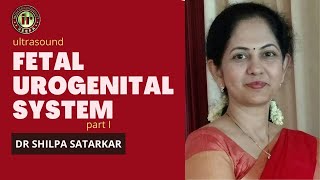 FOETAL UROGENITAL SYSTEM  DR SHILPA SATARKAR  RENAL ANOMALIES  PYELECTASIS  ANTENATAL SCREENING [upl. by Einhorn307]