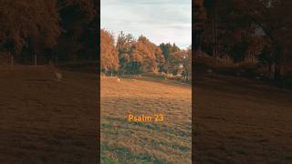 psalm23 bibelverse dergutehirte jesus natur [upl. by Otrebla]