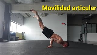 Ejercicios de movilidad articular y fuerza bodyweight [upl. by Lowson]