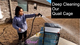 Deep Cleaning Our Hatching Time Comfortplast Quail Cage  Coturnix Quail [upl. by Eelam]