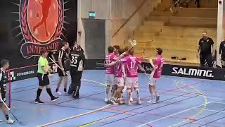 Höllviken IBF vs Hovslätts IK Highlights Allsvenskan Södra [upl. by Wojak]