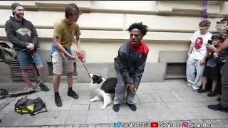 Dog Pulls Ishowspeed Trousers Down In Poland [upl. by Ytinav]