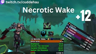 Necrotic Wake 12  Vengence DH  LFG Keys  125M overall  No Spirit Bomb Fel Scarred [upl. by Yolande591]