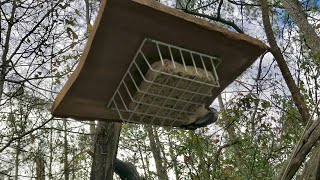 1 Bird Feeder DIY Dollar store hack [upl. by Nosnev]