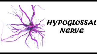 Hypoglossal Nerve Examination  Cranial Nerve 12 Examination  Examination of Hypoglossal Nerve [upl. by Barber]