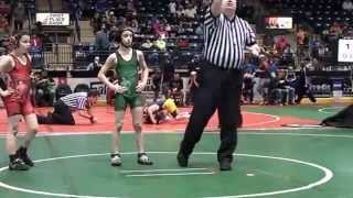 Ohio Grade School State Wrestling Tournament 2012  70 lbs division 2 finals [upl. by Iuq828]