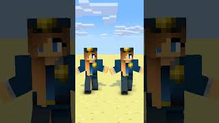 Hide amp Seek Twin Hunters VS Herobrine  minecraftshorts minecraftanimation [upl. by Dahsra346]