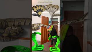 Animal funny video Anaconda snake python in my house in real life bhoot wala usa bhojpuri vfx p11 [upl. by Nord]