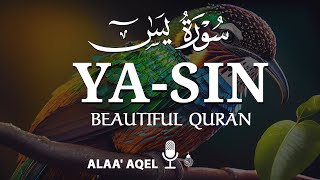 Heart shooting recitation of Surah Yaseen Yasin سورة يس  by Alaa aqel [upl. by Dagnah389]