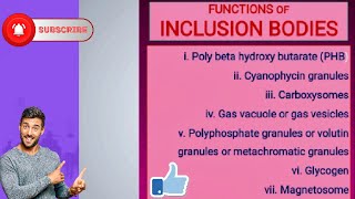 Functions of Inclusion Bodies [upl. by Nerret]