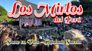 ✅Los Mirlos de Perú en Malmö Suecia ¡La MEJOR CUMBIA PERUANA EN VIVO [upl. by Edin]