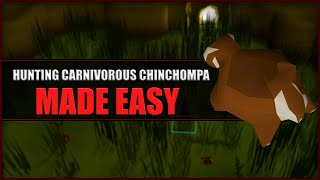 Quick Guide to Hunting Red Chinchompas in OSRS  Hunter Guide  Hunters Rumours [upl. by Yrogreg]