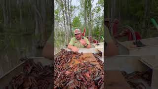 🦞 FISH IN THE CRAWFISH PONDS [upl. by Aicnelev589]