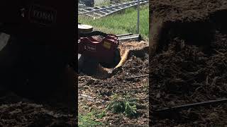 Stump grinding ￼ popular construction road truck short топ trees [upl. by Berlyn]