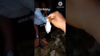 Night fishing  WhatsApp status video  status video [upl. by Animsaj155]