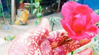 Jahanara Khatun is live [upl. by Hajile454]