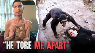 The Deadliest Ape Attacks The Charla Nash Tragedy [upl. by Ahilam]