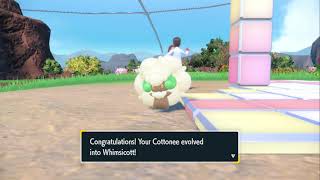 How to evolve Cottonee into Whimsicott in Pokémon Scarlet and Violet The Indigo Disk [upl. by Octavla517]