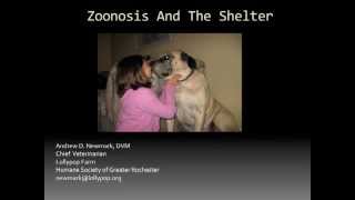 Zoonoses  conference recording [upl. by Ztnarf]