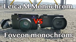 LEICA M Monochrom vs SIGMA Foveon monochrome 最強モノクロ写真決定戦 [upl. by Ecnarrat493]