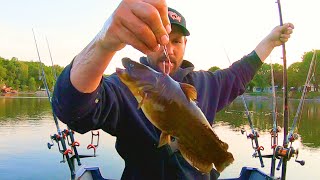 Catch Giant Flathead Catfish With This Easy Technique [upl. by Myrvyn]