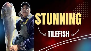 Herring is the bait of choice for tilefish with Reel World Charter Fishing [upl. by Aileme447]