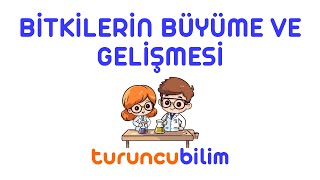 BİTKİLERİN BÜYÜME VE GELİŞMESİ [upl. by Rankin6]