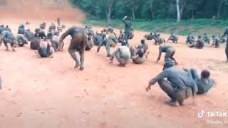 Sri Lanka Army Training [upl. by Eedeed10]